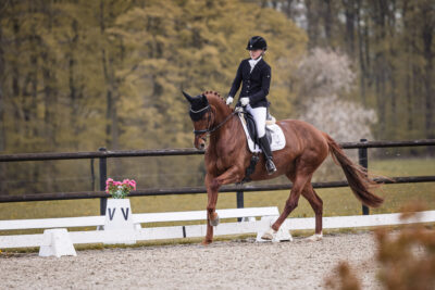 MG_2090-2