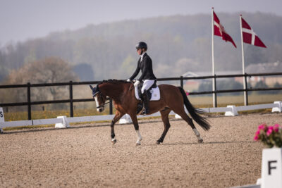 MG_0659-2