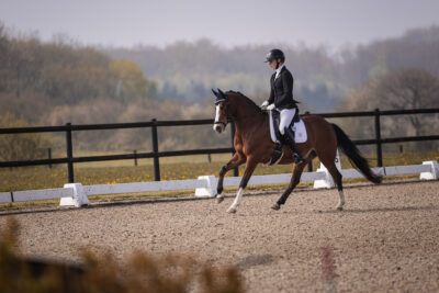 MG_0686-2