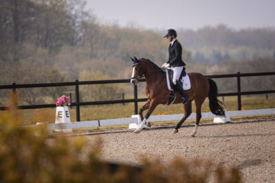 MG_0693-2