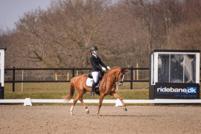 MG_0650-2