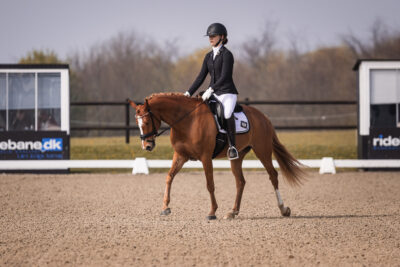 MG_0665-2