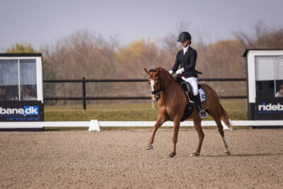 MG_0695-2