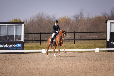 MG_0731-2