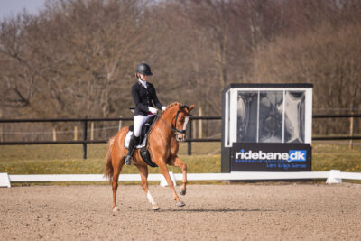 MG_0735-2