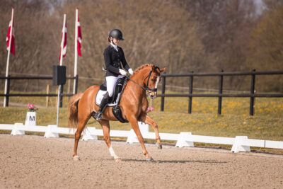 MG_0741-2