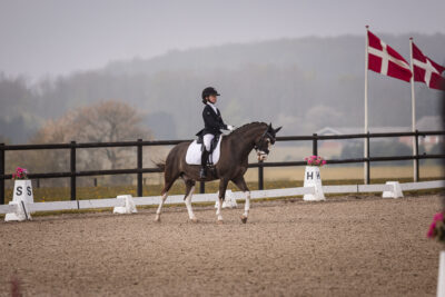 MG_0502-2