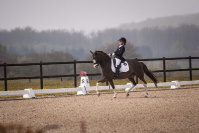 MG_0526-2