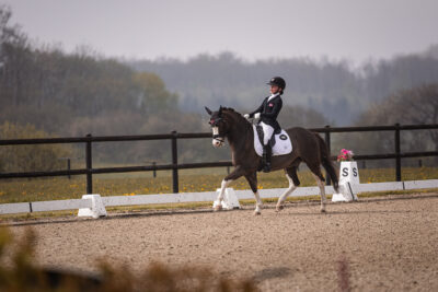 MG_0527-2