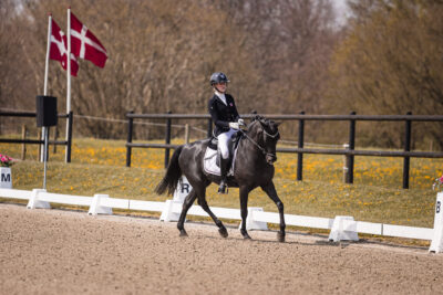 MG_2203-2