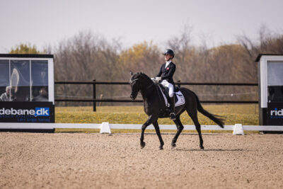 MG_2251-2