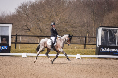 MG_1201-2