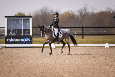 MG_1217-2