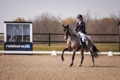 MG_1276-2