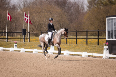 MG_1293-2