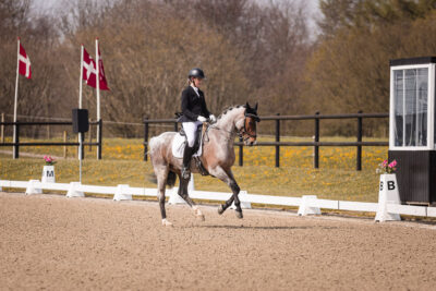 MG_1294-2