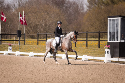 MG_1296-2