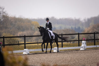 MG_1239-2
