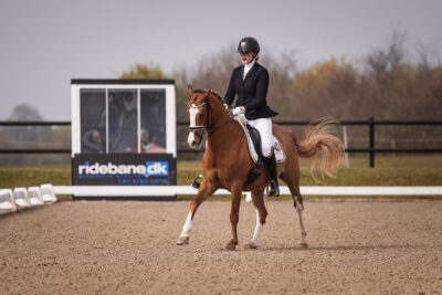 MG_0077-2