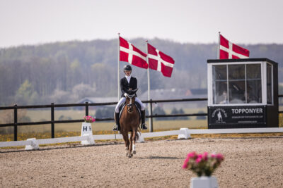 MG_2746-2