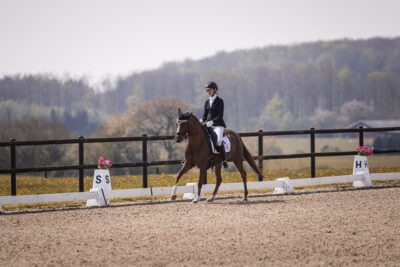 MG_2764-2