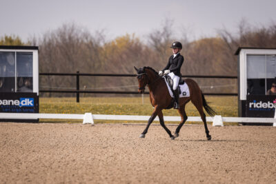 MG_1391-2