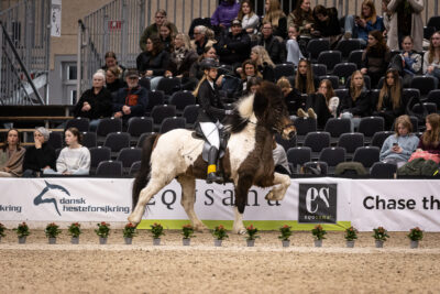 MG_5028