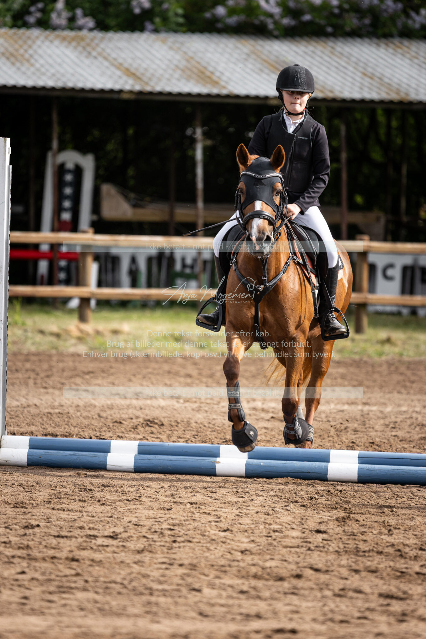 MG_1323
