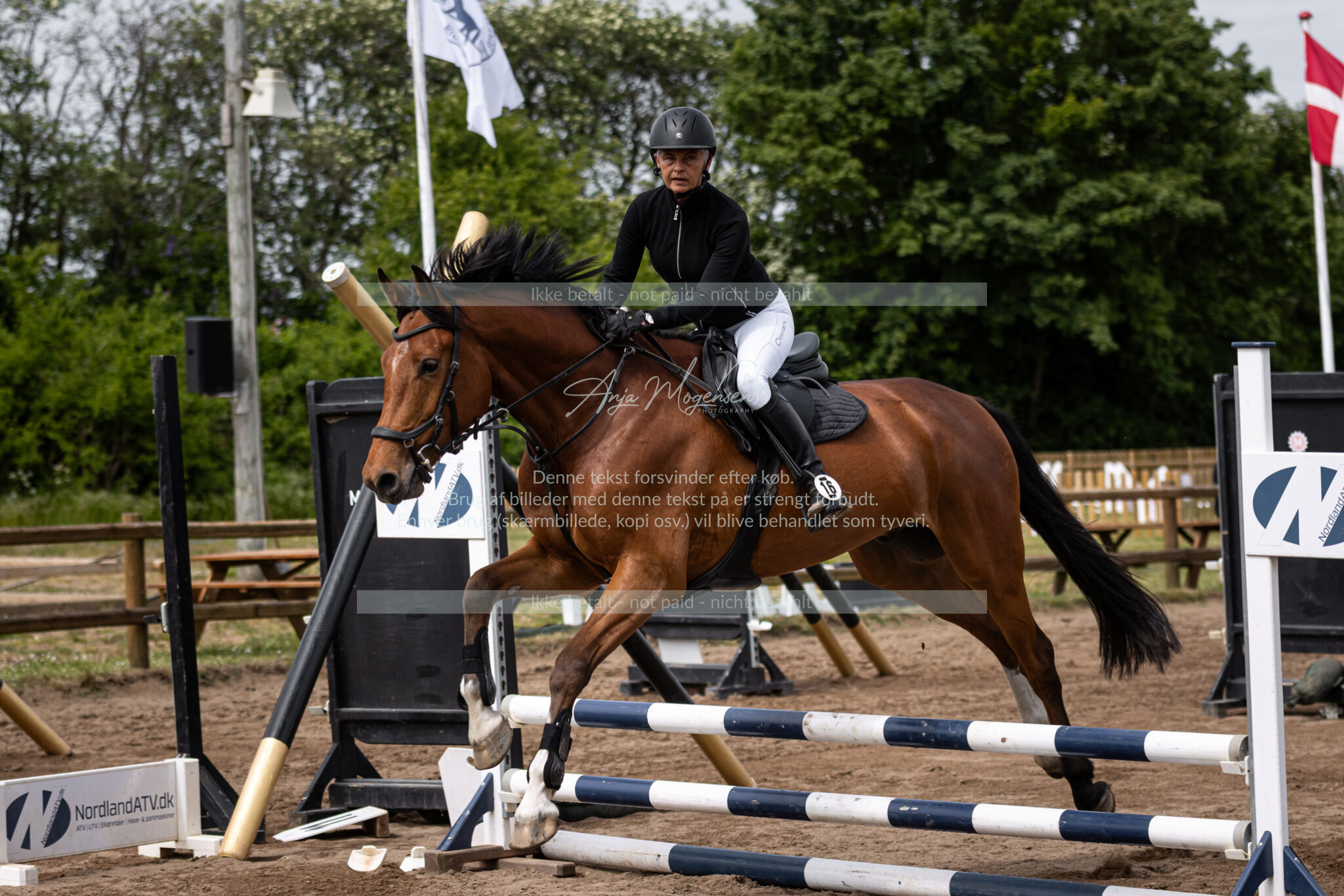 MG_2018