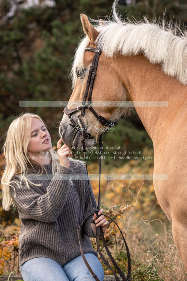 MG_1436