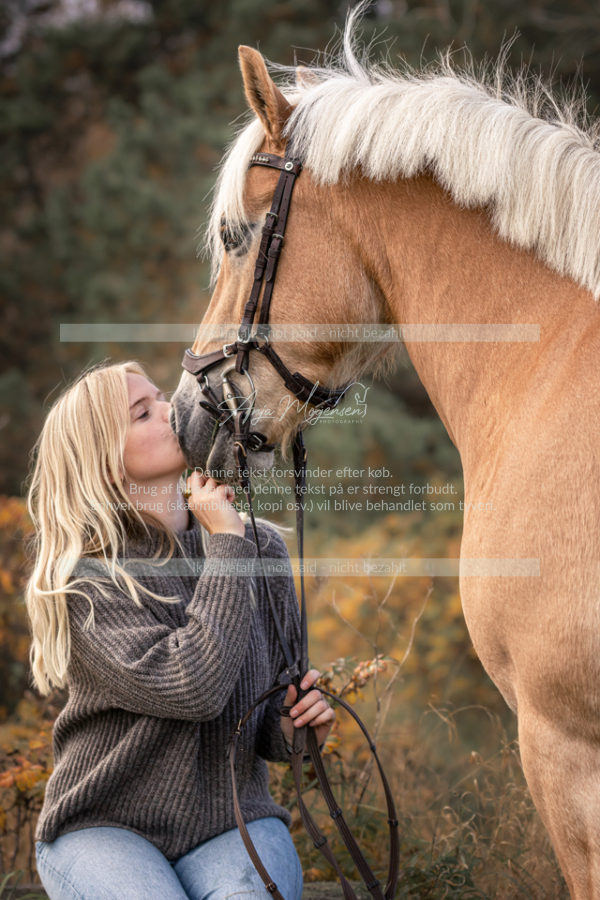MG_1438-Edit
