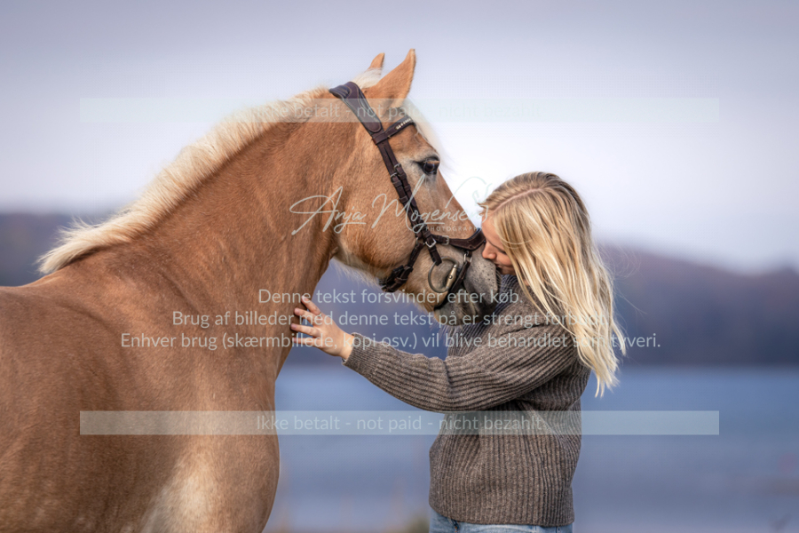MG_1522-Edit