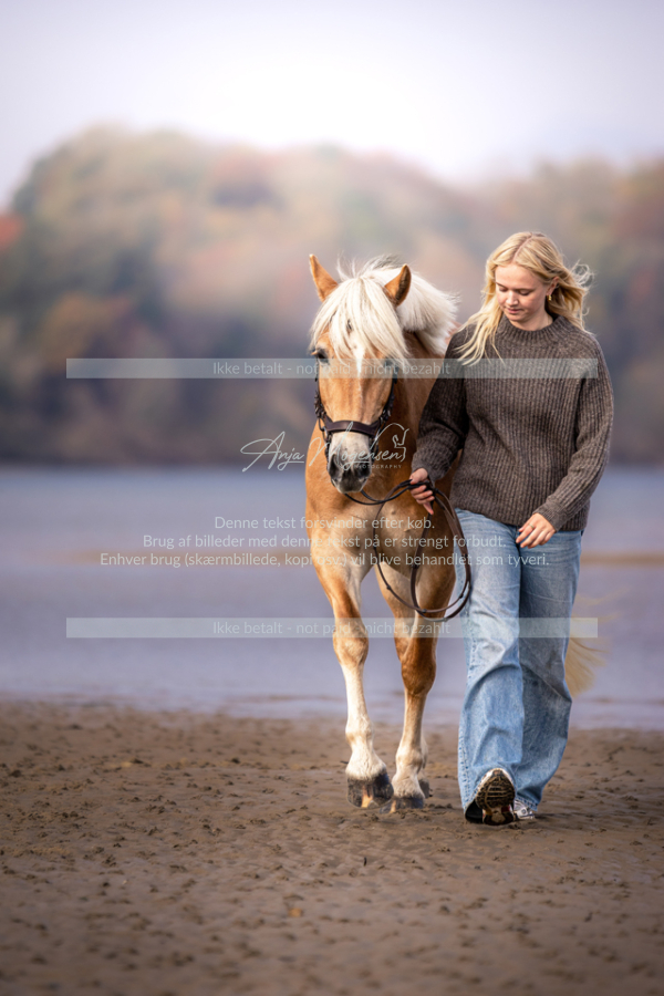 MG_1600-Edit