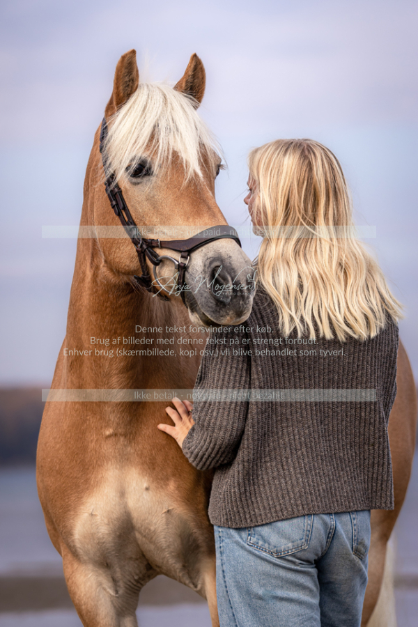 MG_1637-Edit