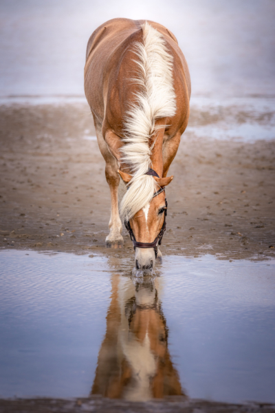MG_1694-Edit