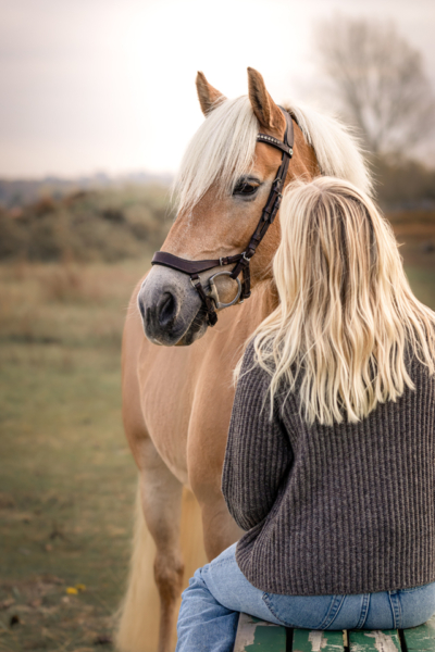 MG_1783-Edit