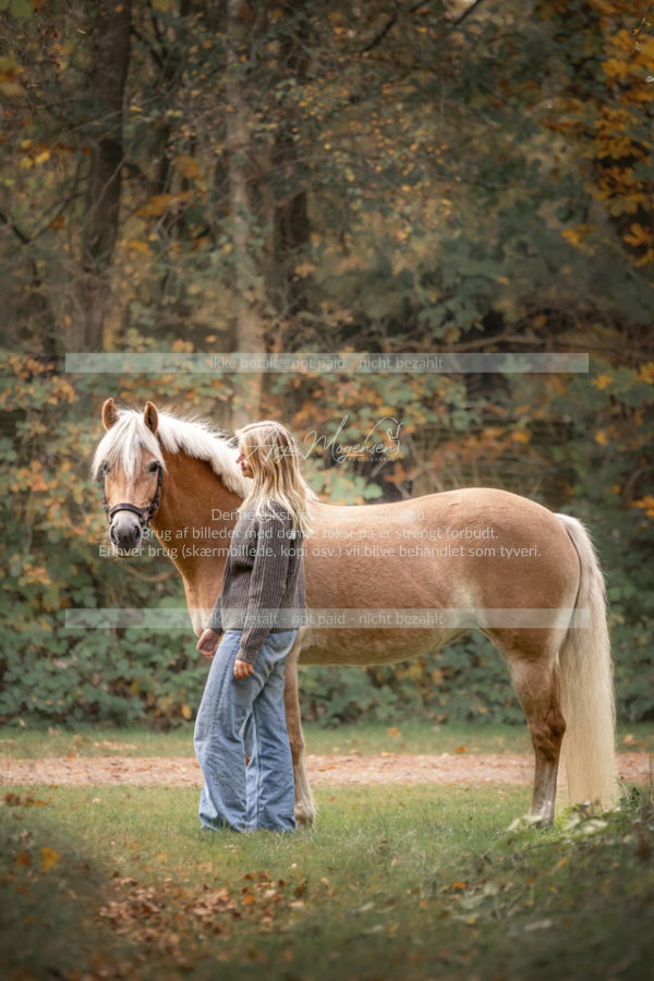 MG_1943-Edit