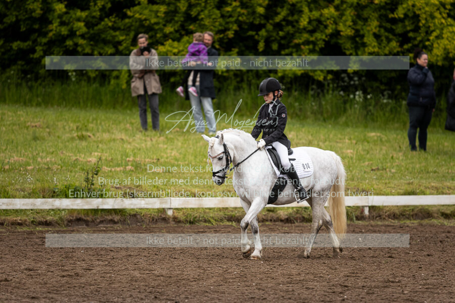 MG_5496