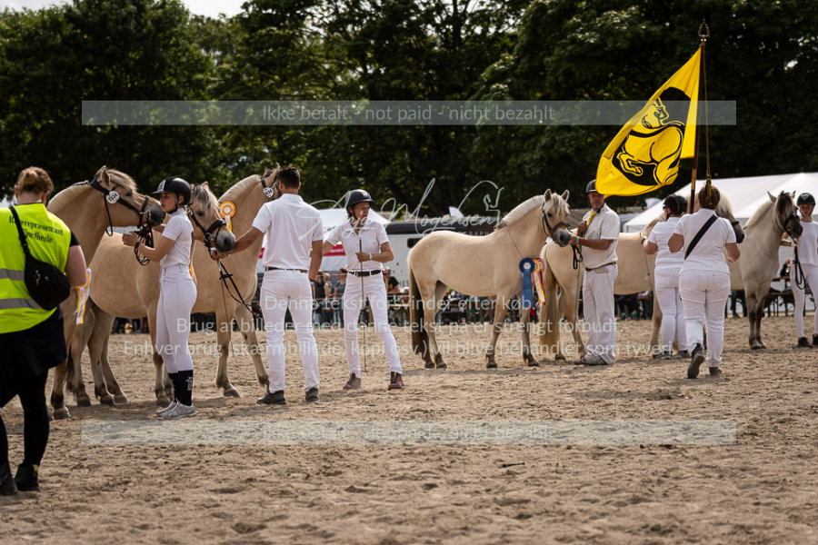 MG_6933-2