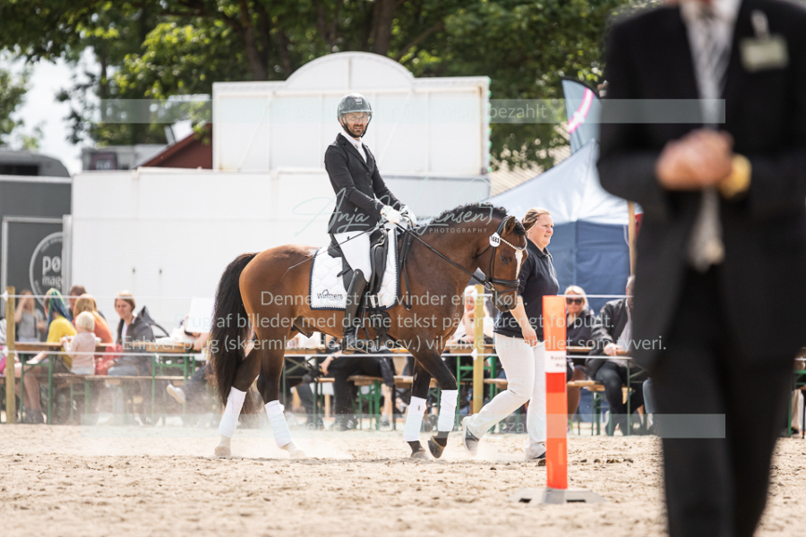 MG_6586-2