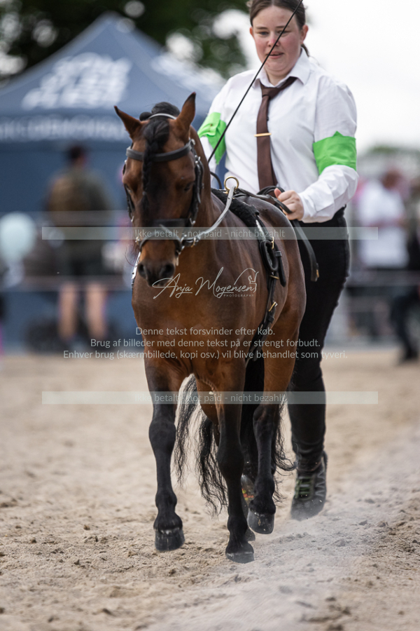 MG_6036-2