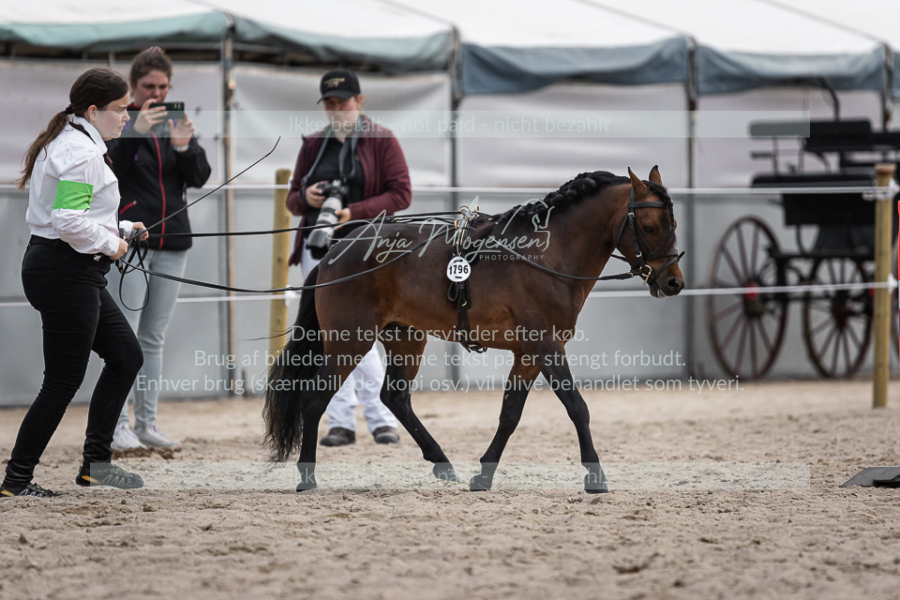MG_6043-2