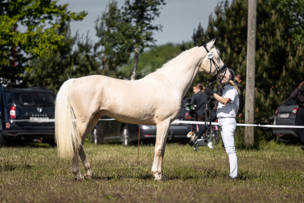 MG_9525