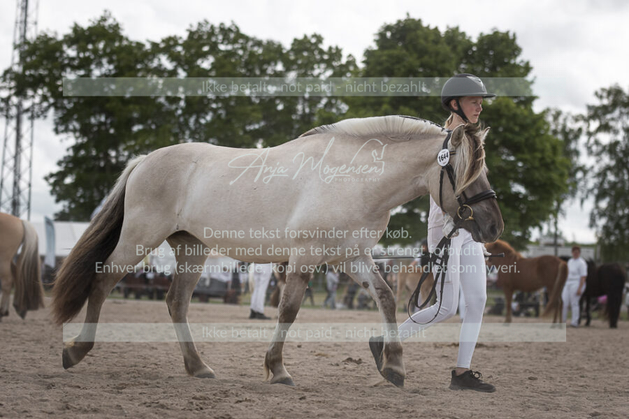 MG_7221-2