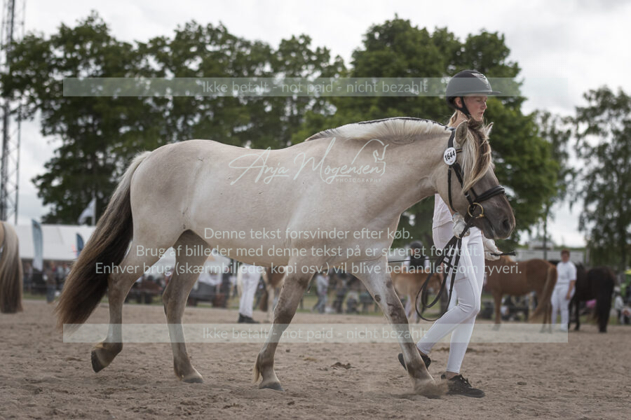 MG_7222-2