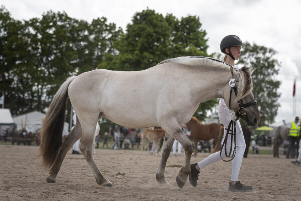 MG_7228-2