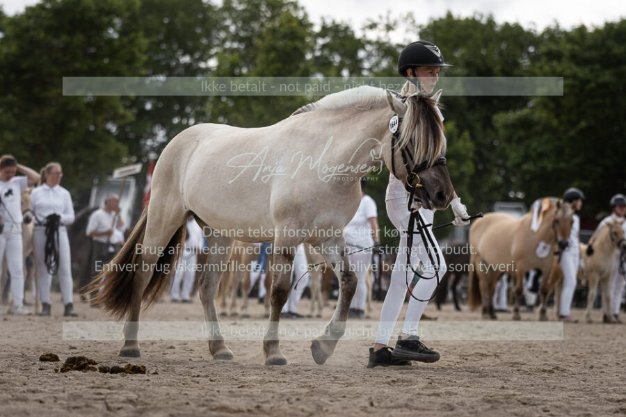 MG_7258-2