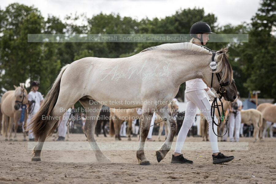 MG_7264-2