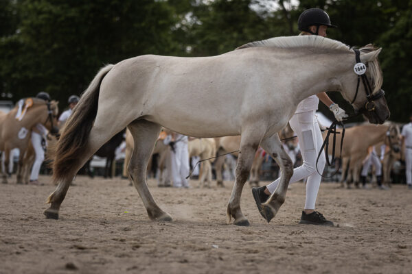 MG_7269-2