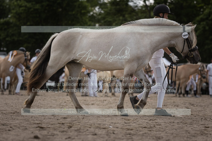MG_7269-2